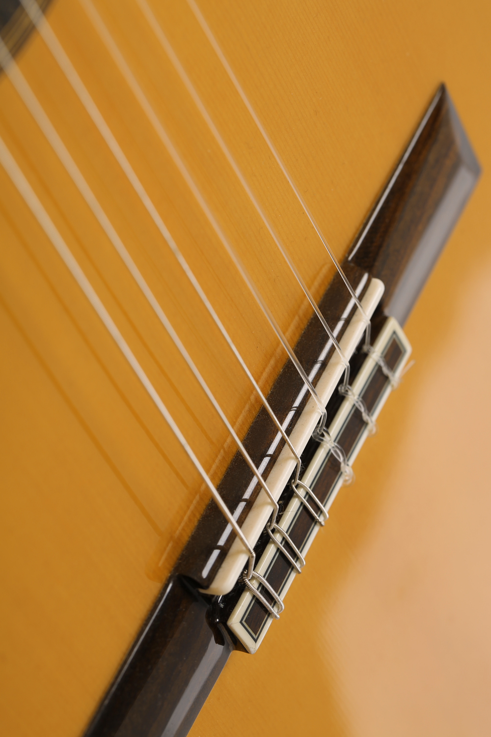 Classical Guitars  Cordoba FCWE Euro-Spruce/Spanish Cypress Nylon