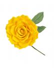 Flower yellow