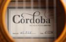 Cordoba 45FCE cutaway flamenco guitar