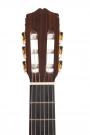 Cordoba 45FCE cutaway flamenco guitar