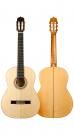 Flamenco guitar cypress