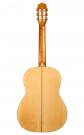 Flamenco guitar cypress