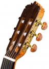 Flamenco guitar cypress