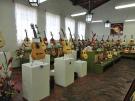 Flamenco Guitar Reyes Navarro special grand concert new