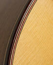 Flamenco Guitar Reyes Navarro special grand concert new
