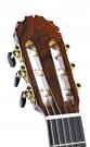Flamenco Guitar Reyes Navarro special grand concert new