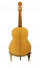 Leonard Plattner 2013 spruce cypress