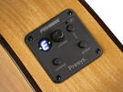 Salvador Cortez flamenco guitar Fishman pickup 