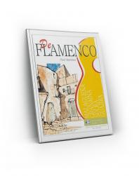 Flamenco guitar training method for Malaguena, Granaina, fandangos, solea and Guajira