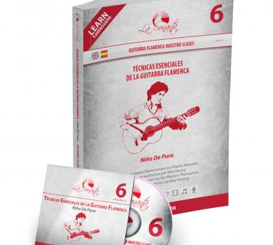 DVD - La guitare pour les nuls - Un guide technique et stylistique facile à  suivre - Editeur SEPHORA MUSIC
