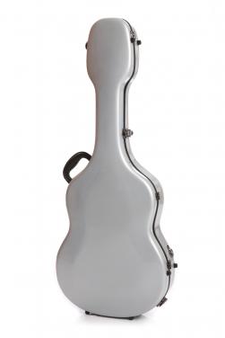 Eastman Fiberglass Guitar Case Silver