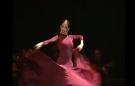Alegrias + Guajira flamenco dance DVD lessons from the conservatory of Madrid vol 1