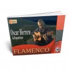 0scar Herrero guitar score book + CD